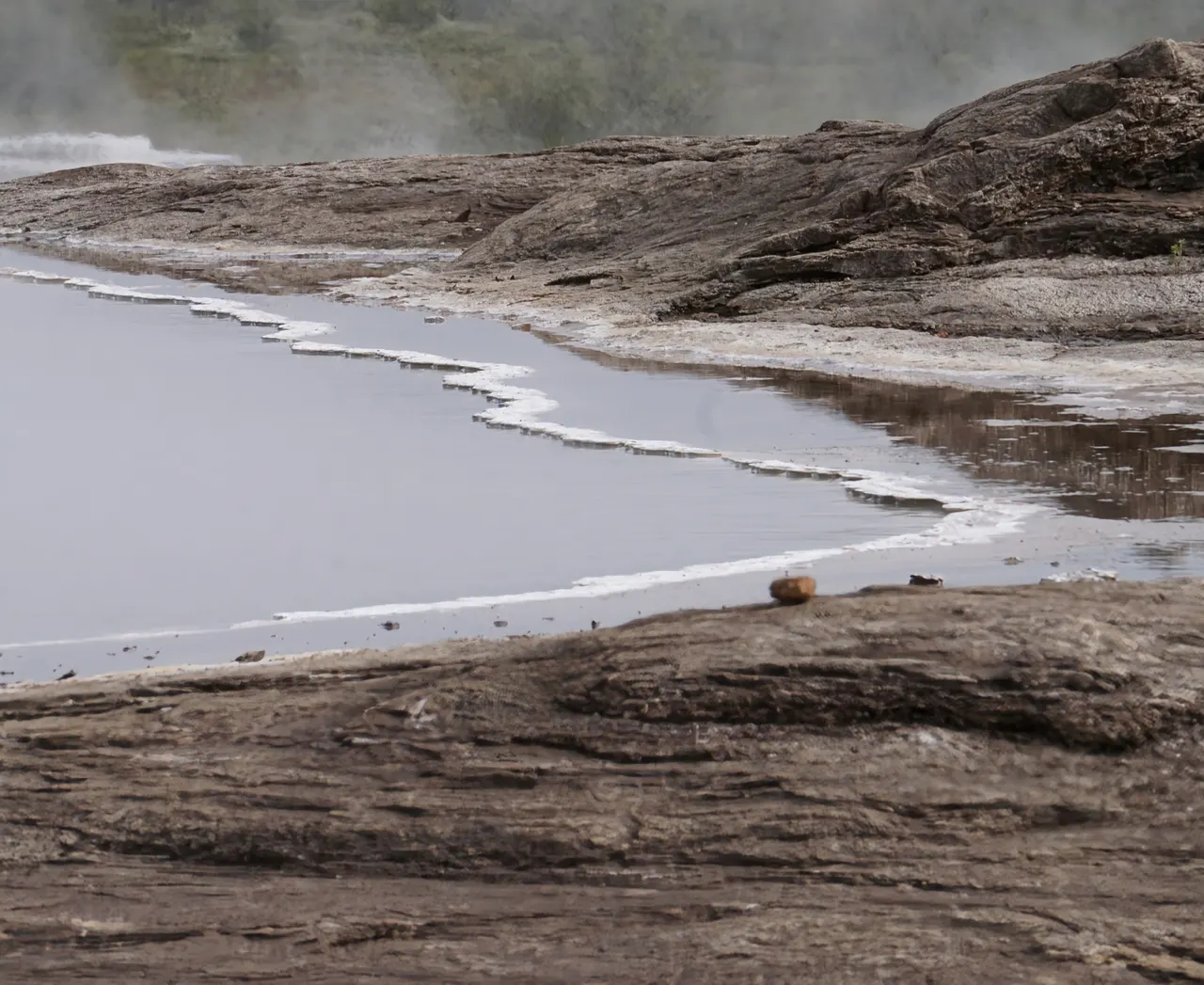 Not a lake: A close-up of a small pool.